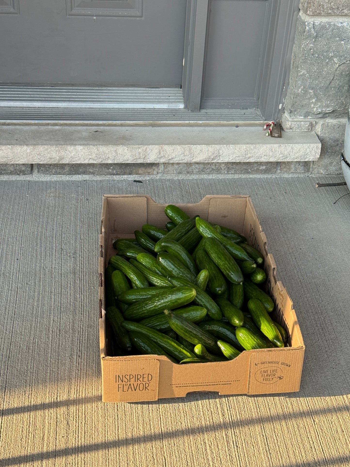 Cucumber box - 18lb