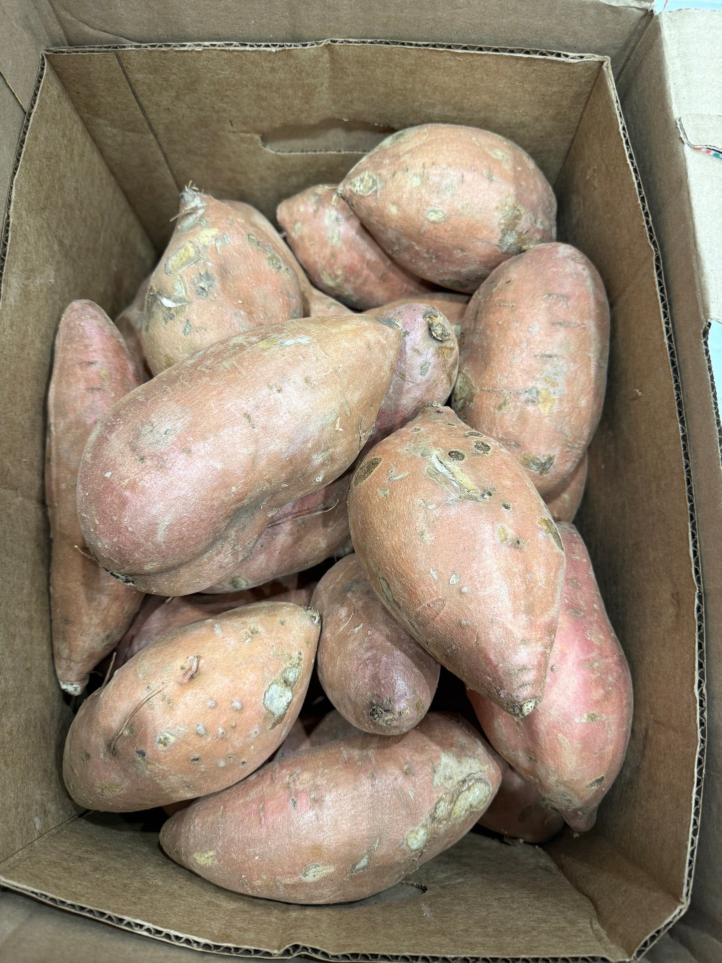 Sweet potato- 40lb box