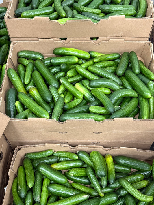 baby Cucumbers - 5lb bag