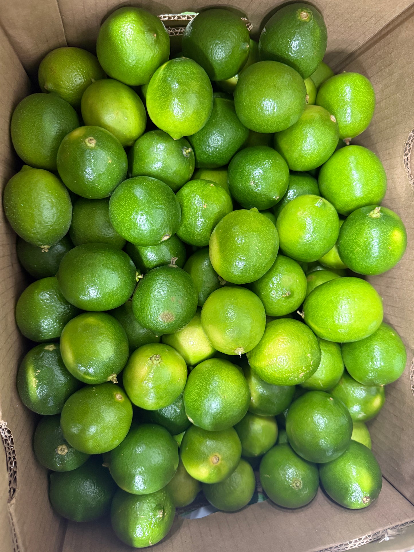 Limes - 12 pieces