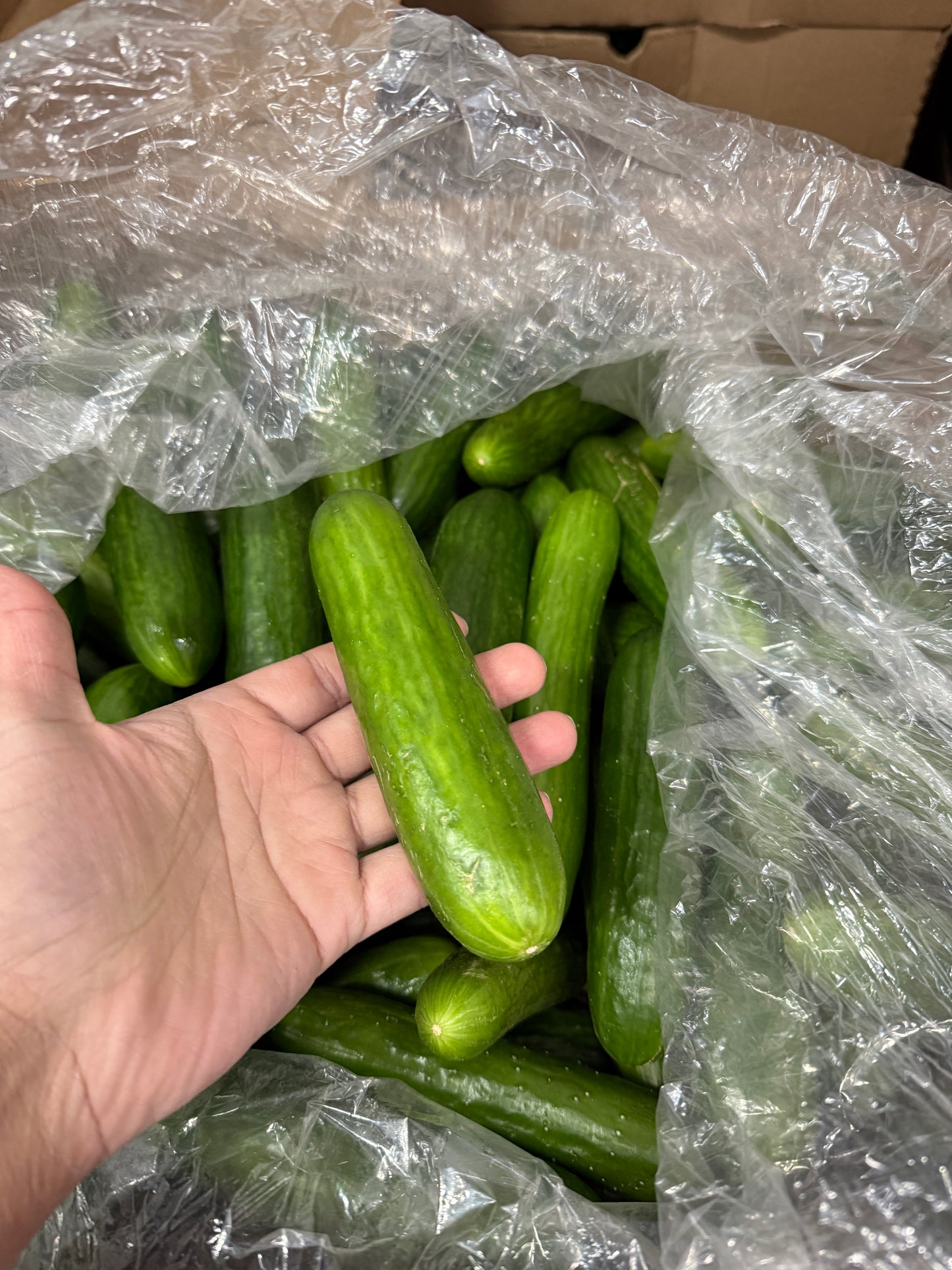 Cucumber box - 18lb