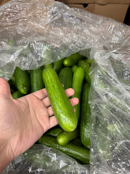 Cucumber box - 18lb