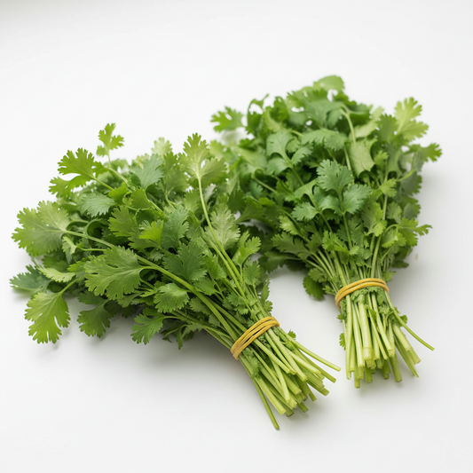 Cilantro with roots - 3 bunches
