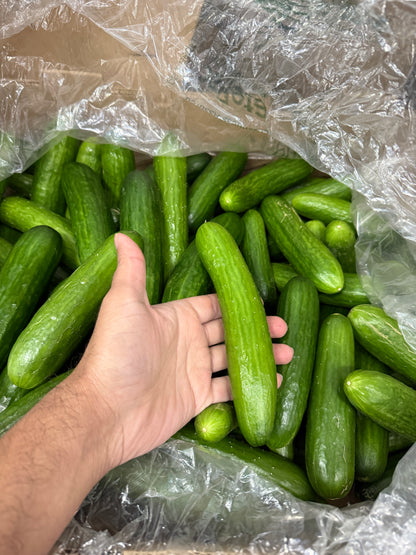 Cucumber box - 18lb
