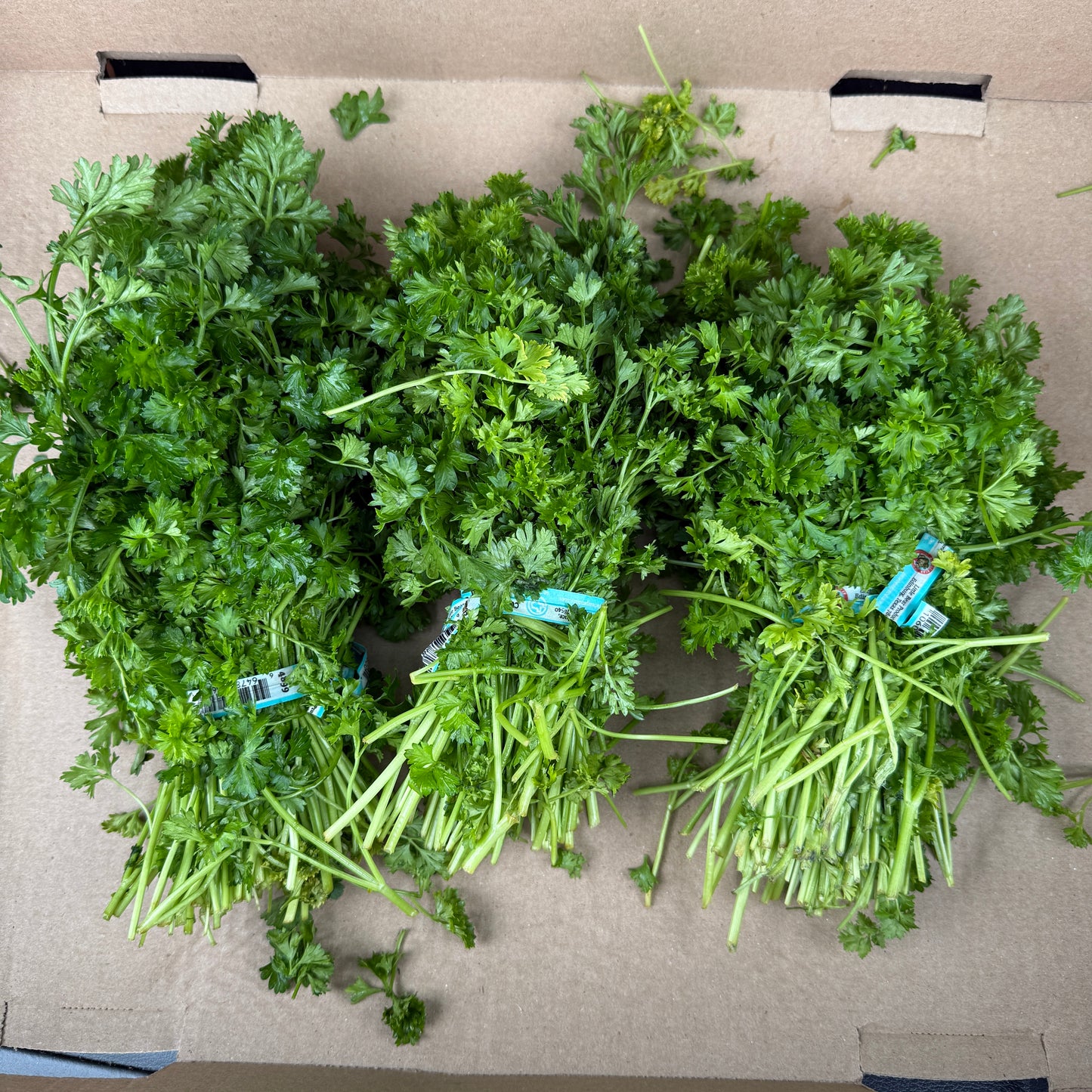 Parsley - 3 bunches