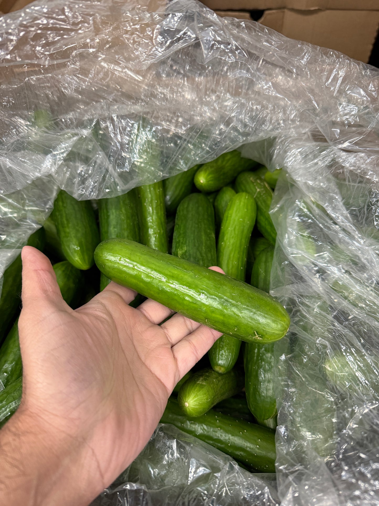 Cucumber box - 18lb