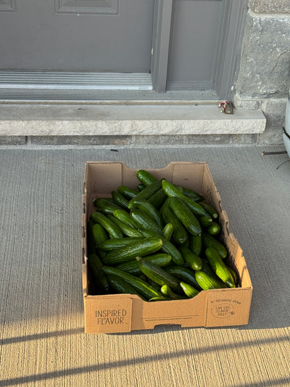 Cucumber box - 18lb
