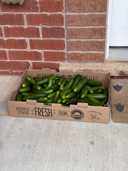 Cucumber box - 18lb