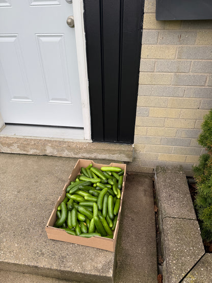 Cucumber box - 18lb