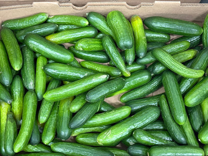 baby Cucumbers - 5lb bag