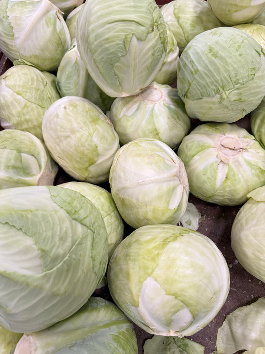 Green Cabbage