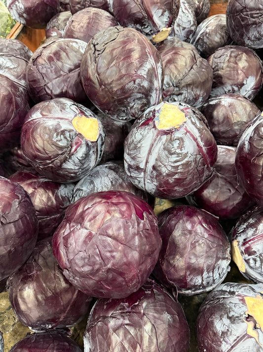 Purple Cabbage