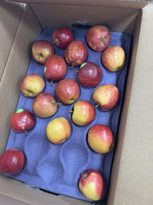 Apples - Royal Gala - 40lb box